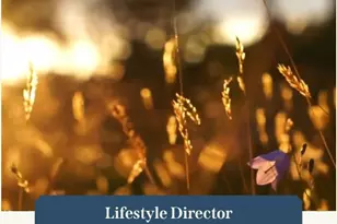 481 Harvest Moon Dr, Katy, TX 77493 - Photo 28