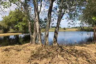 10910 Hwy 36, Needville, TX 77461 - Photo 20