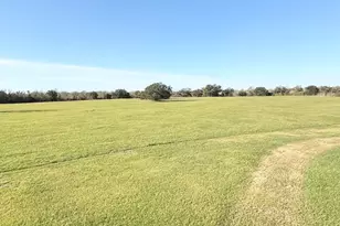 3178 County Rd 32, Angleton, TX 77515 - Photo 8