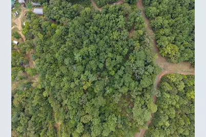 0 Rods Road, Hemphill, TX 75948 - Photo 10