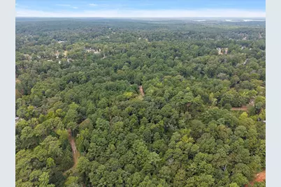 0 Rods Road, Hemphill, TX 75948 - Photo 6