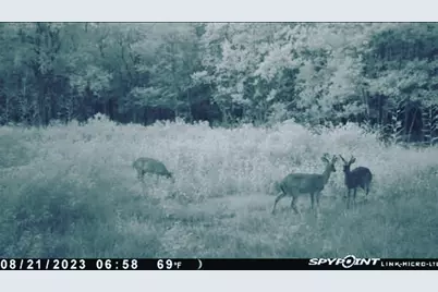 00000 Langham, Kountze, TX 77625 - Photo 10