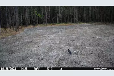 00000 Langham, Kountze, TX 77625 - Photo 6