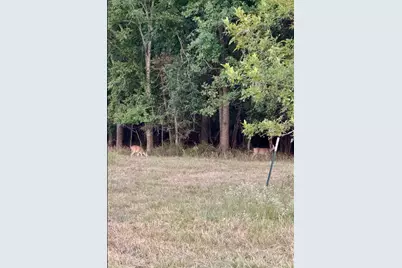 419 Lcr 648, Thornton, TX 76687 - Photo 4