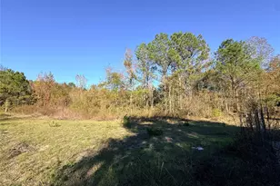 719 County Rd 3880, Cleveland, TX 77328 - Photo 10