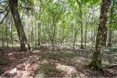Tbd Farm To Market 1745 N, Colmesneil, TX 75938 - Photo 12