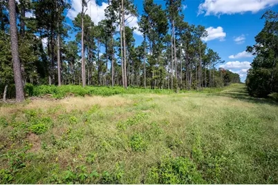 Tbd Farm To Market 1745 N, Colmesneil, TX 75938 - Photo 1