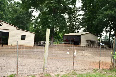101 Pinewood Drive, Shepherd, TX 77371 - Photo 32
