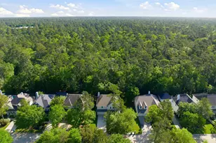 158 Lattice Gate St, Spring, TX 77382 - Photo 40