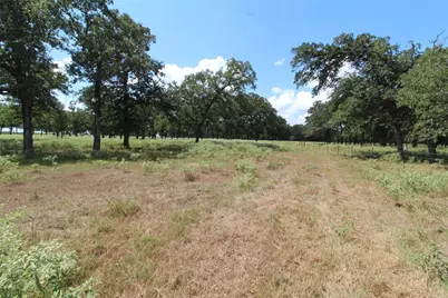 Tbd Bowler Road, Waller, TX 77484 - Photo 6
