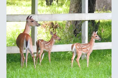 667 Miller Drive, Cleveland, TX 77327 - Photo 20