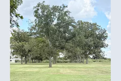 9639 Fm 524 Road, Sweeny, TX 77480 - Photo 4
