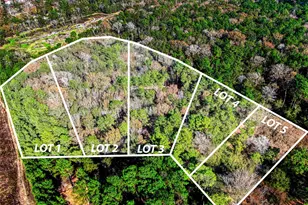 0-153272 Roman Forest Tbd, Roman Forest, TX 77357 - Photo 2