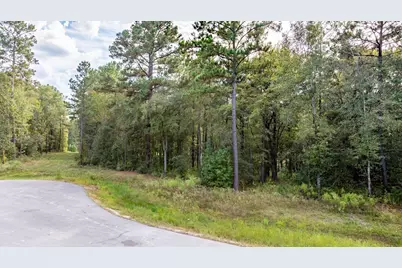 13-21-65 Bighorn Road, Huntsville, TX 77340 - Photo 6