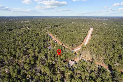 160 Brahman Lane, New Waverly, TX 77358 - Photo 2