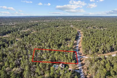 160 Brahman Lane, New Waverly, TX 77358 - Photo 4