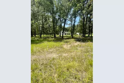 189 Wendy Way, Livingston, TX 77351 - Photo 8