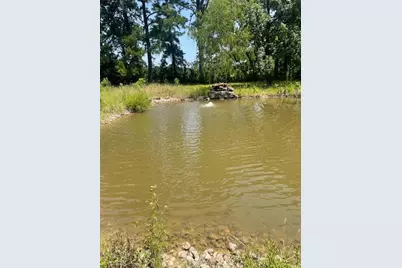 189 Wendy Way, Livingston, TX 77351 - Photo 6