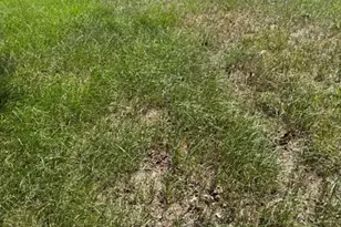 44 Starling Dr, Palacios, TX 77465 - Photo 8