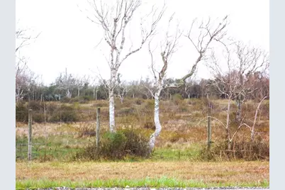 27235 Fm-2004, Angleton, TX 77515 - Photo 8