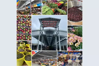 2030 Gostick Street, Houston, TX 77008 - Photo 22