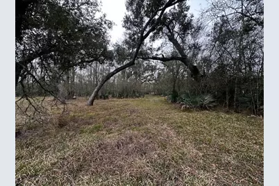 Lot 1-2 County Road 409, Sweeny, TX 77480 - Photo 6