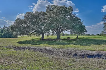 44 Acres Ganske Road, Burton, TX 77835 - Photo 16