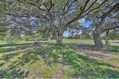 44 Acres Ganske Road, Burton, TX 77835 - Photo 12