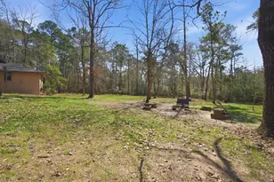 233 Pebble Creek, Livingston, TX 77351 - Photo 46