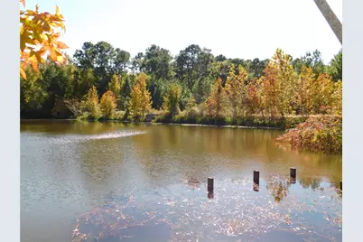 321 Broken Arrow Trail Trail, Goodrich, TX 77335 - Photo 30