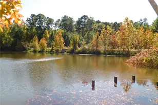 321 Broken Arrow Trail Trail, Goodrich, TX 77335 - Photo 30