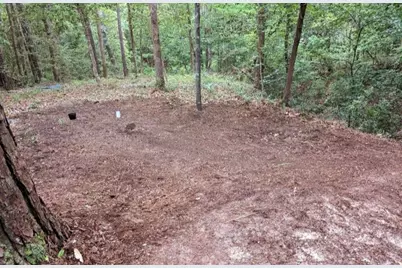 181 Sally Mayes Drive, Livingston, TX 77351 - Photo 2