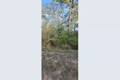 00 Eagle Drive, Waller, TX 77445 - Photo 2