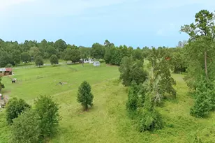 409 Moffett Springs Rd, Huntsville, TX 77320 - Photo 8