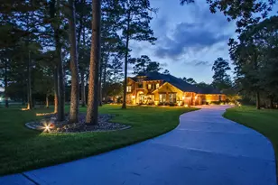 28733 Lakeside Green, Magnolia, TX 77355 - Photo 2