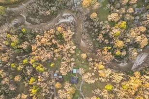 17866 Magnolia Ln, New Caney, TX 77357 - Photo 32