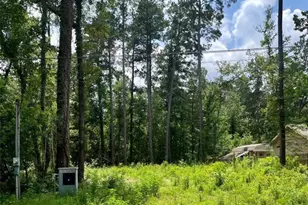 10820 Royal York Dr, Conroe, TX 77303 - Photo 2