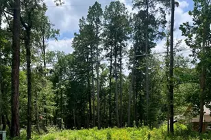 10820 Royal York Dr, Conroe, TX 77303 - Photo 1