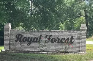 10820 Royal York Dr, Conroe, TX 77303 - Photo 4