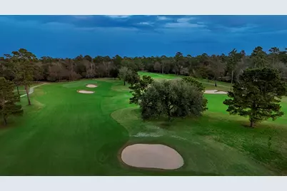 19 Hepplewhite Way, The Woodlands, TX 77382 - Photo 50