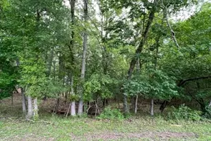 161 N Pine Harbour Dr, Coldspring, TX 77331 - Photo 1