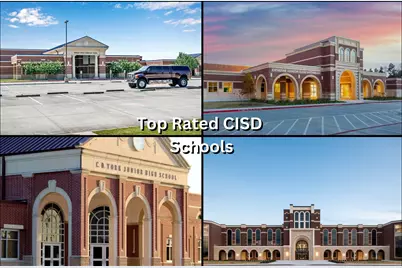 31507 Reston Cliff Court, Spring, TX 77386 - Photo 24