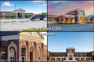 31507 Reston Cliff Ct, Spring, TX 77386 - Photo 24