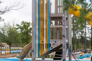 26782 Frontier Trace Drive, Montgomery, TX 77316 - Photo 26