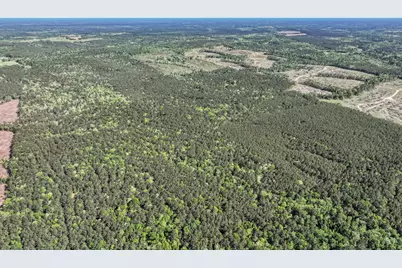 0000 County Road 425, Kirbyville, TX 75956 - Photo 12