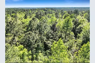 0000 County Road 425, Kirbyville, TX 75956 - Photo 14