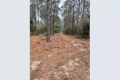 462 Timber Rd, Livingston, TX 77351 - Photo 12