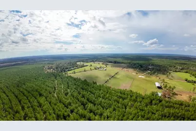 462 Timber Rd, Livingston, TX 77351 - Photo 8