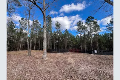 09 Sugar Hill Road, Livingston, TX 77351 - Photo 8