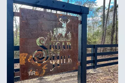 09 Sugar Hill Road, Livingston, TX 77351 - Photo 1